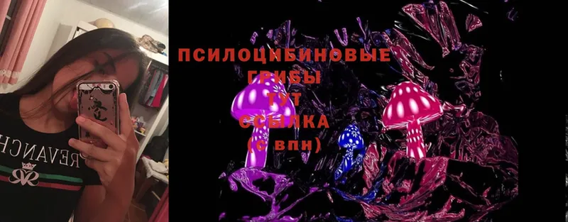 shop формула  Белая Калитва  Псилоцибиновые грибы Psilocybe  наркотики  кракен рабочий сайт 